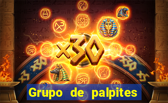 Grupo de palpites de futebol gratis